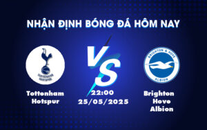 tottenham hotspur brighton hove albion 25 05 ngoai hang anh